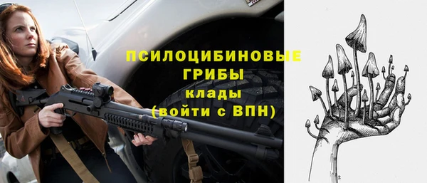 стаф Абаза