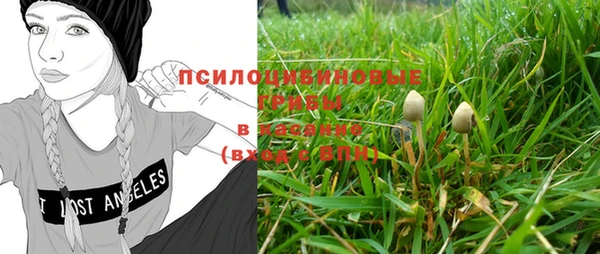 2c-b Абинск