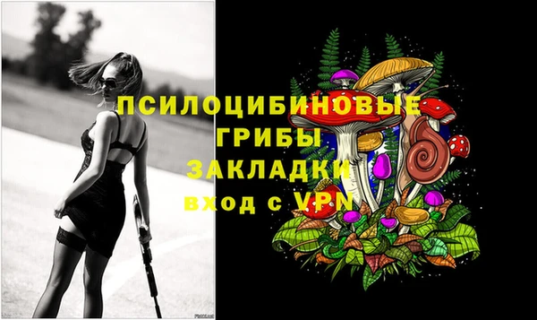 2c-b Абинск