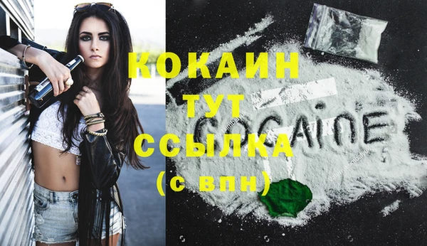 стаф Абаза