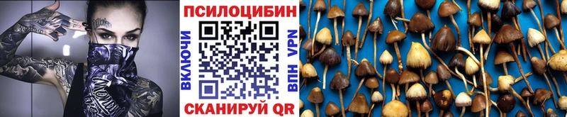 Галлюциногенные грибы Cubensis  сколько стоит  Дербент 